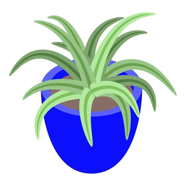 Aloe vera szobanövény ikon, izometrikus stílus — Stock Vector