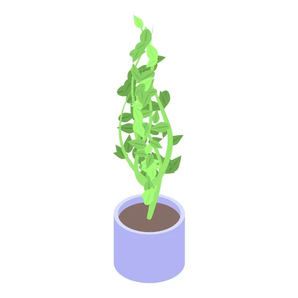 Icône plante d'intérieur botanique, style isométrique — Image vectorielle