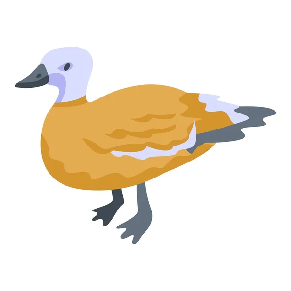 Ícone de pássaro do pato, estilo isométrico — Vetor de Stock