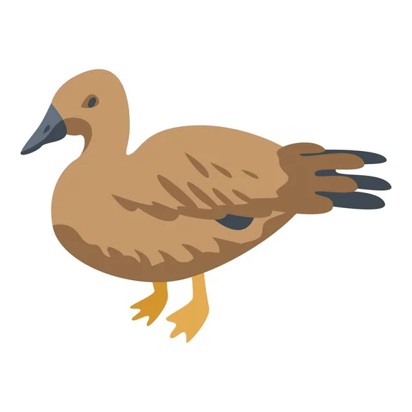Ikone der braunen Ente, isometrischer Stil — Stockvektor