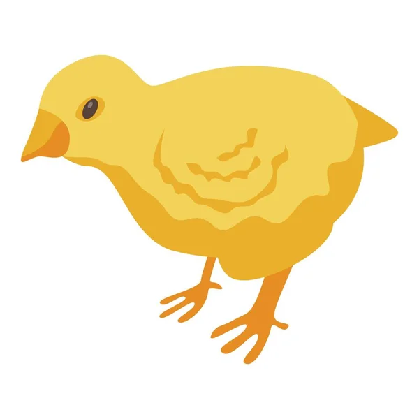 Gele chick icon, isometrische stijl — Stockvector