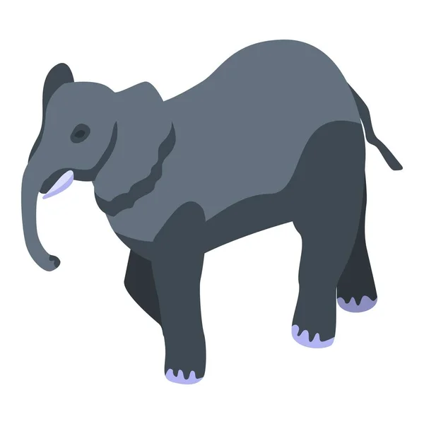 Elephant icon, isometric style — Stock Vector