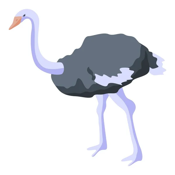 Ostrich australia icon, isometric style — 스톡 벡터