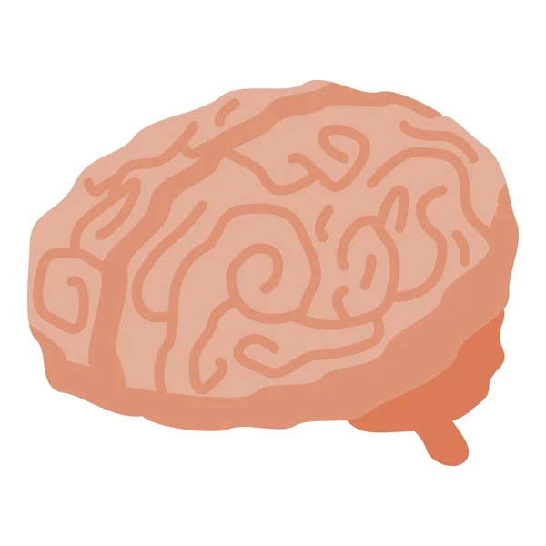 Icono del cerebro humano, estilo isométrico — Vector de stock