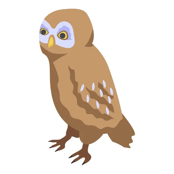 Owl kid icon, isometric style — Stock Vector