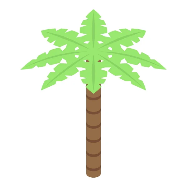 Icône palmier, style isométrique — Image vectorielle