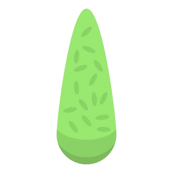 Icono de planta Bush, estilo isométrico — Vector de stock