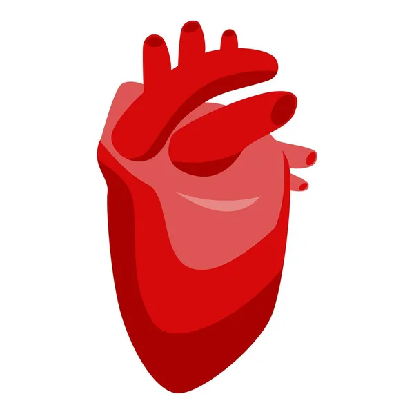 Icono del corazón humano, estilo isométrico — Vector de stock