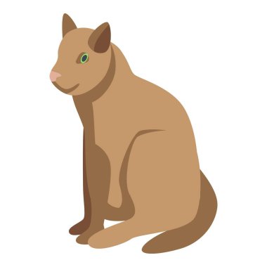Kahverengi kedi simgesi, izometrik biçim