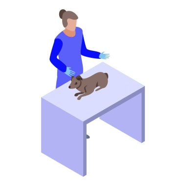 Veteriner ikonundaki köpek çocuk, izometrik tarzda.