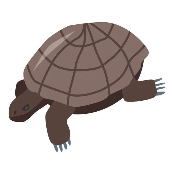 Icône tortue brune, style isométrique — Image vectorielle