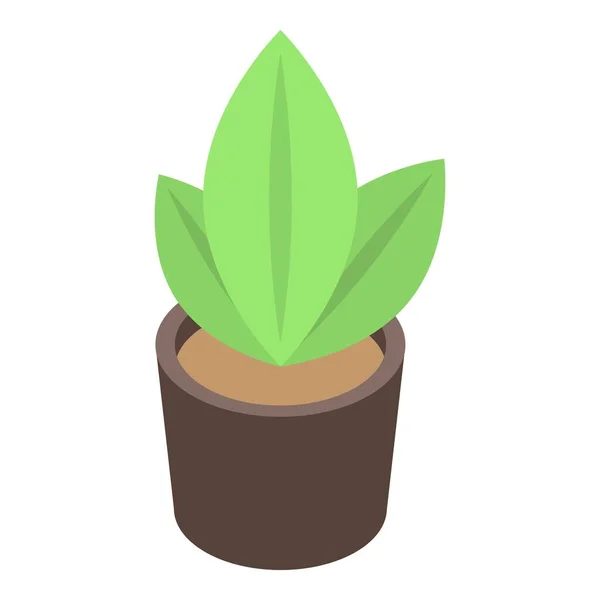 Plant pot icon, isometric style — Stock Vector