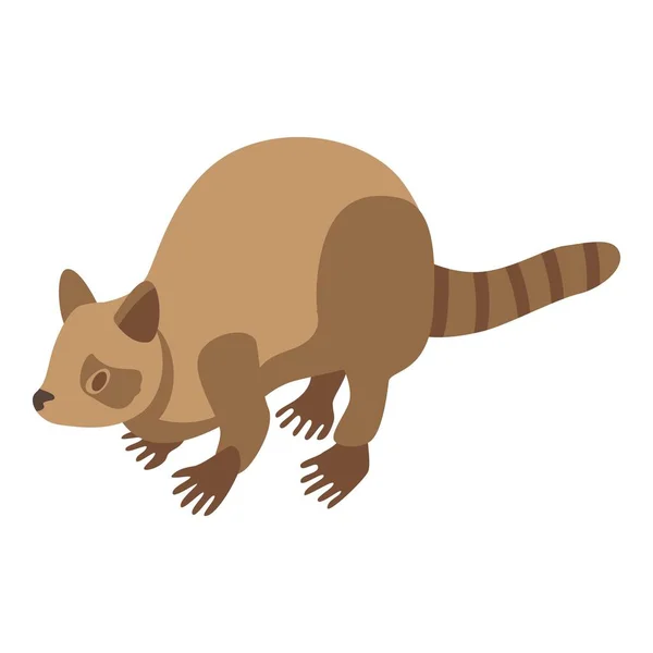 Raccoon beige icon, isometric style — Stock Vector