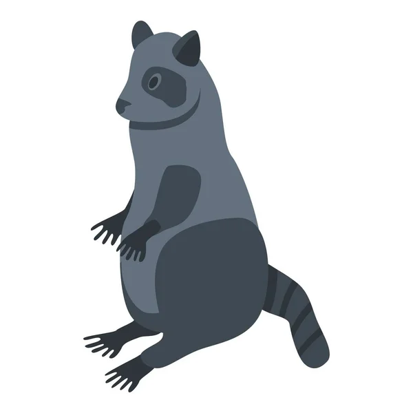 Söt tvättbjörn ikon, isometrisk stil — Stock vektor