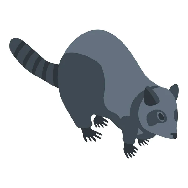 American raccoon icon, isometric style — Stock Vector