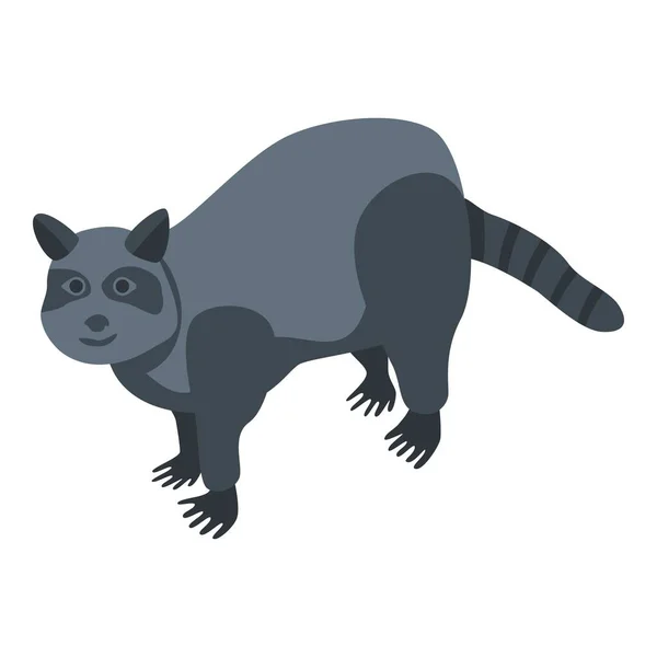 野生浣熊图标，等距风格 — 图库矢量图片