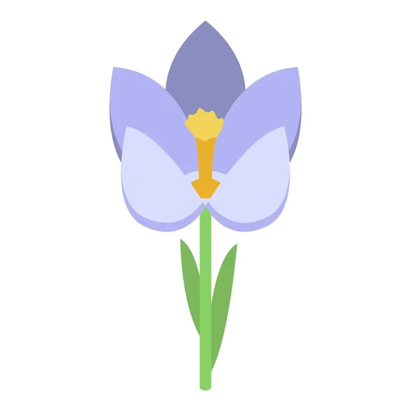 Ícone de crocus de flor, estilo isométrico — Vetor de Stock