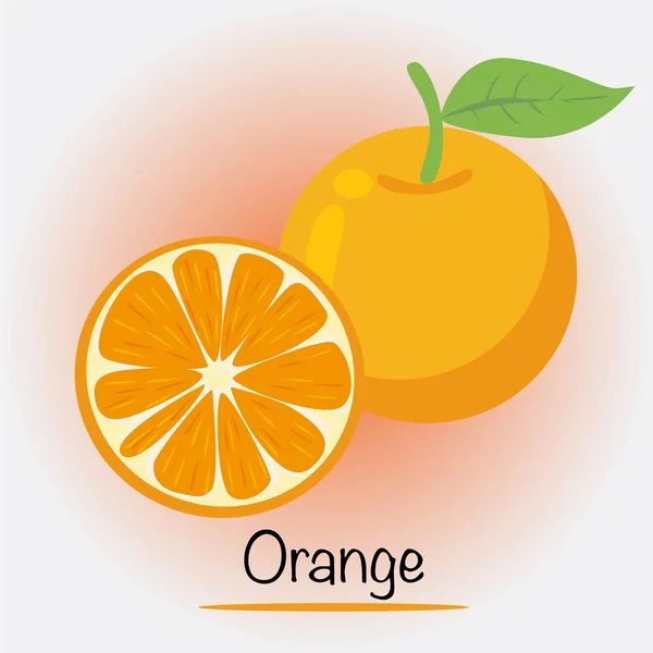 Orange Vector. Fruits and vegetables. — Stock Vector