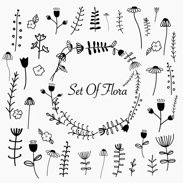 Hand Drawn Set Of Flora. — Stock Vector