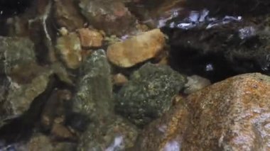 Bu kristal berraklığında creek su kalker kaya-kayalıkları birçok küçük romantik cascades aşağı akıyor.