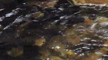 Bu kristal berraklığında creek su kalker kaya-kayalıkları birçok küçük romantik cascades aşağı akıyor.