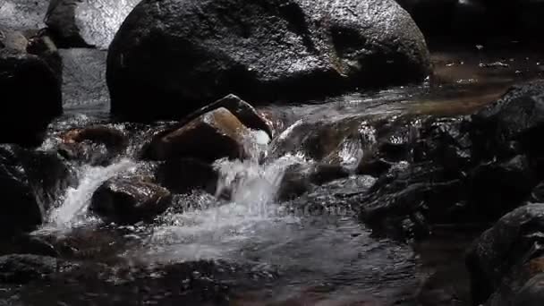 Τα νερά της κρυστάλλινα creek αυτό ρέει κάτω πολλά μικρά ρομαντικά cascades σε ασβεστολιθικό βράχο-υφάλους. — Αρχείο Βίντεο