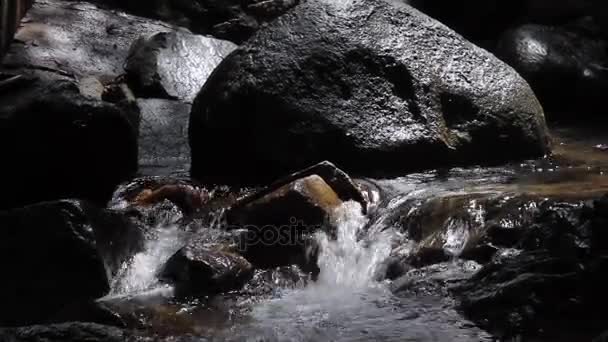 El agua de este arroyo cristalino está fluyendo por muchas cascadas románticas pequeñas sobre arrecifes de roca caliza . — Vídeo de stock