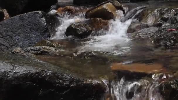 The water of this crystal clear creek is flowing down many small romantic cascades on limestone rock-reefs. — Stock Video