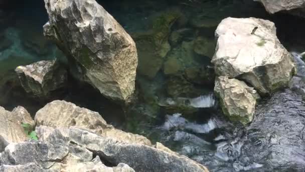 El agua de este arroyo cristalino está fluyendo por muchas cascadas románticas pequeñas sobre arrecifes de roca caliza . — Vídeos de Stock