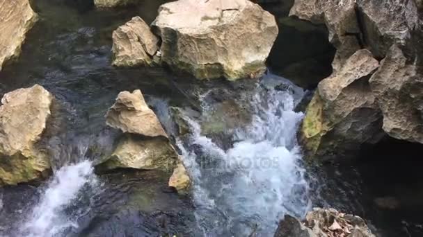 El agua de este arroyo cristalino está fluyendo por muchas cascadas románticas pequeñas sobre arrecifes de roca caliza . — Vídeos de Stock