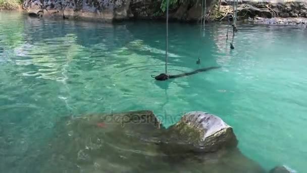 VANG VIENG, LAOS - 30 МАРТА 2017: Blue Lagoon in Vang Vieng, Vientiane Province, Laos . — стоковое видео