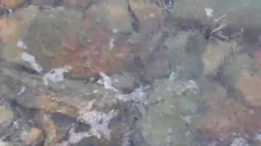 Küçük çakıl taşları ve deniz sörf ile çakıl plajı. Kayalık sahil çalıştırmak günbatımı, dalgalar.