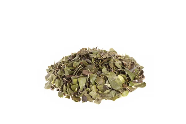 Kurutulmuş Bearberry yığını, Arctostaphylos uva-ursi yaprakları beyaz arka planda izole edilmiş.