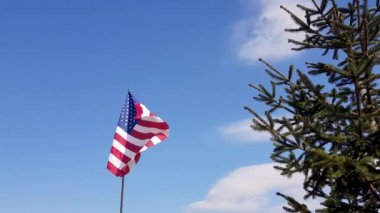 Rüzgarda dalgalanan Amerikan Bayrağı mavi bir arka planda. Amerikan Bayrağı. Mavi gökyüzü ve yeşil çam ağacının önünde Amerika Birleşik Devletleri 'nin ünlü bayrağını sallıyordu. Anma Günü - Amerikan konsepti.