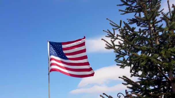 Amerikai zászló fúj a szélben, kék ég háttérrel. Amerikai zászló. Az Amerikai Egyesült Államok híres zászlaját lobogtatva a kék ég és a zöld fenyő előtt. Emléknap - amerikai koncepció. — Stock videók