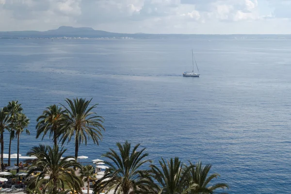 Palmiye ağaçları ve yelkenli tekne ile Akdeniz defne üzerinde göster