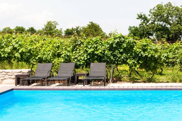 plaj sandalyeleri Yüzme Havuzu yakınlarında