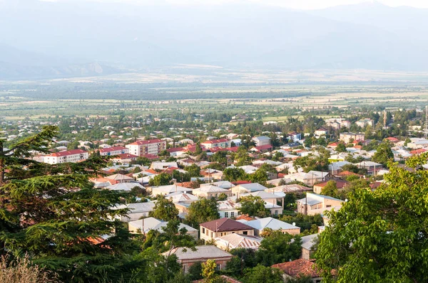 Een panoramisch uitzicht over de vallei met de gebouwen van de nieuwe stad Telavi in Georgië. — Stockfoto