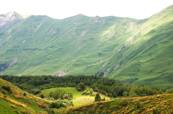 Nézd a kaukázusi-hegység Gudauri, Grúzia. — Stock Fotó