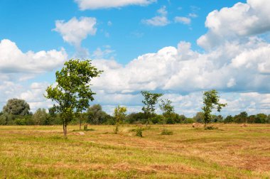 Saman balya, samanlık tarım tarım arazileri üzerinde.