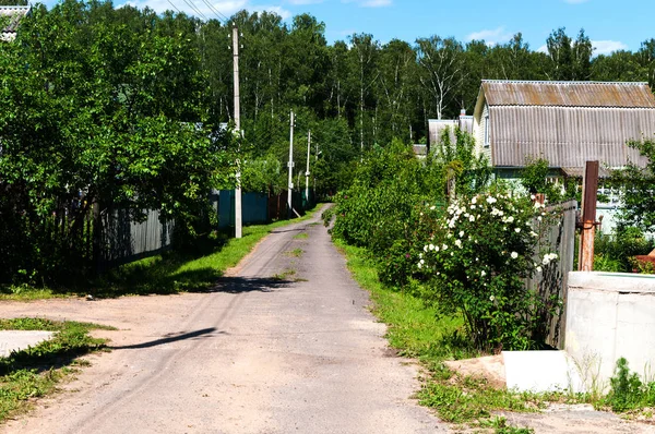 Ο χωματόδρομος στο χωριό το καλοκαίρι, Ρωσία — Φωτογραφία Αρχείου