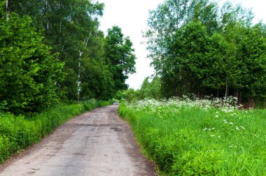 Yaz, Rusya köyde toprak yol