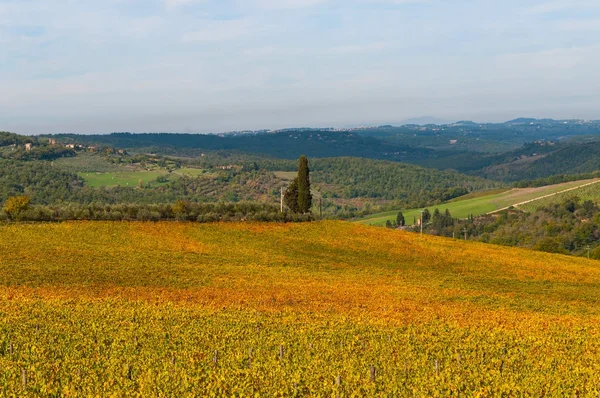 Rzędy winorośli w winnicy w jesieni, Chianti, Toskania, Włochy — Zdjęcie stockowe