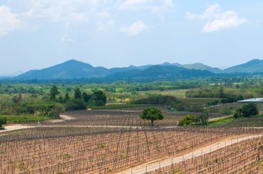 Tayland Hua Hin hills bağ görünümünü.