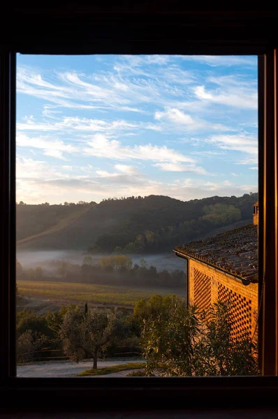 Beautiful grape fields in Chianti from the morning seen through the window in Chianti, Italy — Stock Photo, Image