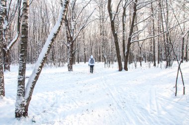 Kuzey yürüyüşü. Kadın soğuk bir ormanda hiking bir sırt çantası ile beyaz bir ceket. Kar ile doğal güzel manzara