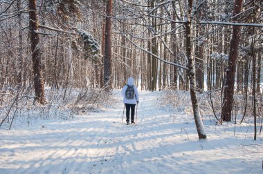 Kuzey yürüyüşü. Kadın soğuk bir ormanda hiking bir sırt çantası ile beyaz bir ceket. Kar ile doğal güzel manzara