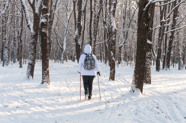 Kuzey yürüyüşü. Kadın soğuk bir ormanda hiking bir sırt çantası ile beyaz bir ceket. Kar ile doğal güzel manzara