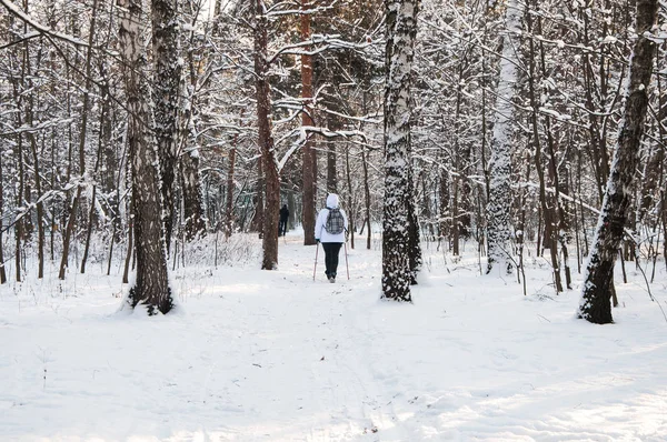 노르딕 워킹입니다. 차가운 숲에서 하이킹 배낭 흰색 재킷에 여자. 눈 경치 아름 다운 풍경 — 스톡 사진
