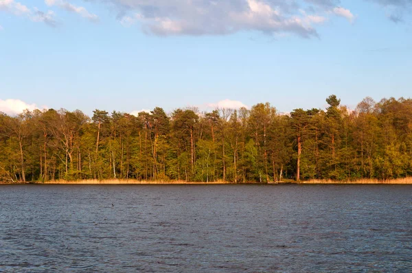 Sjön med mörk blå vatten och en grön skog på en sommardag — Stockfoto